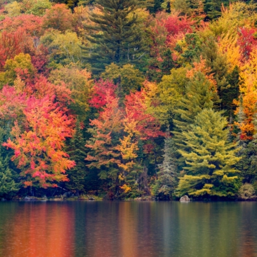 Meet your Posher, Brittanie